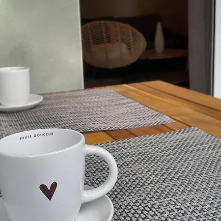 Appartamento T3 Moderne Avec Jardin, Terrasse, A Proximite, Parking Et Wifi A - Fr-1-239-1094