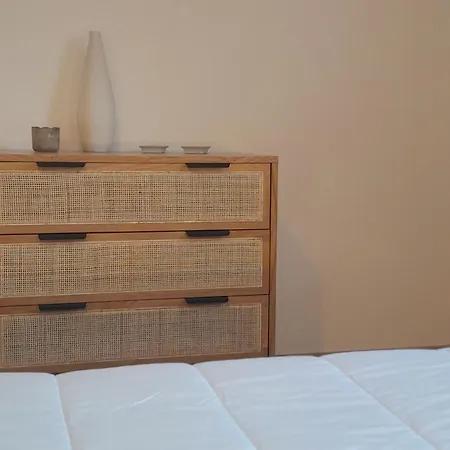 T3 Moderne Avec Jardin, Terrasse, A Proximite, Parking Et Wifi A - Fr-1-239-1094 Apartment Capbreton