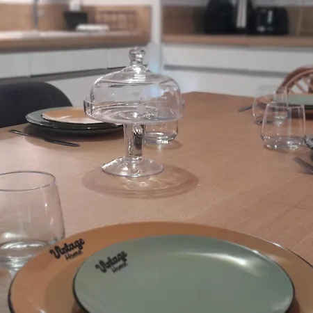 Apartment T3 Moderne Avec Jardin, Terrasse, A Proximite, Parking Et Wifi A - Fr-1-239-1094 *